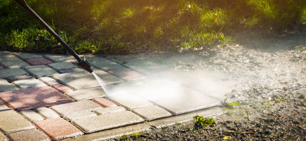 Best Dumpster Area Cleaning  in Avonmore, PA